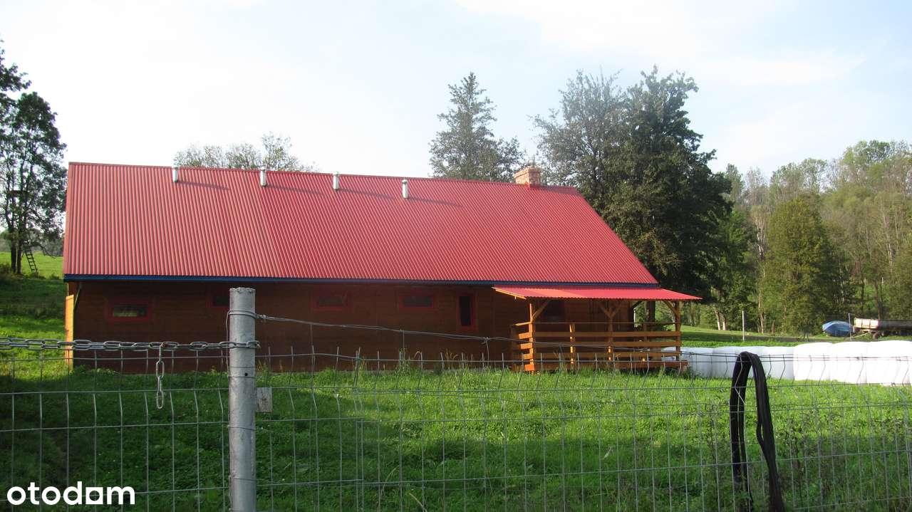 Siedlisko w Bieszczadach-8