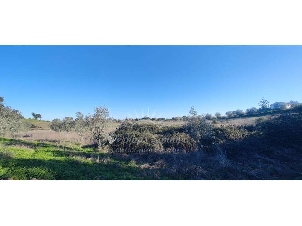 TERRENO RÚSTICO PARA VENDA - UMA OPORTUNIDADE NA SERRA DE GRÂNDOLA-8