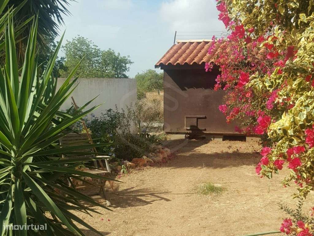 Moradia térrea T3 com jardim e piscina, Almancil, Algarve - Grande imagem: 5/14