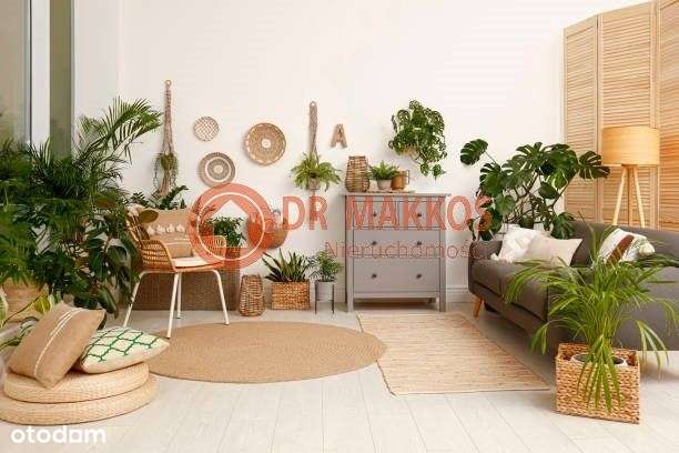 Super Lokalizacja - Rondo Matecznego - Gotowe-2