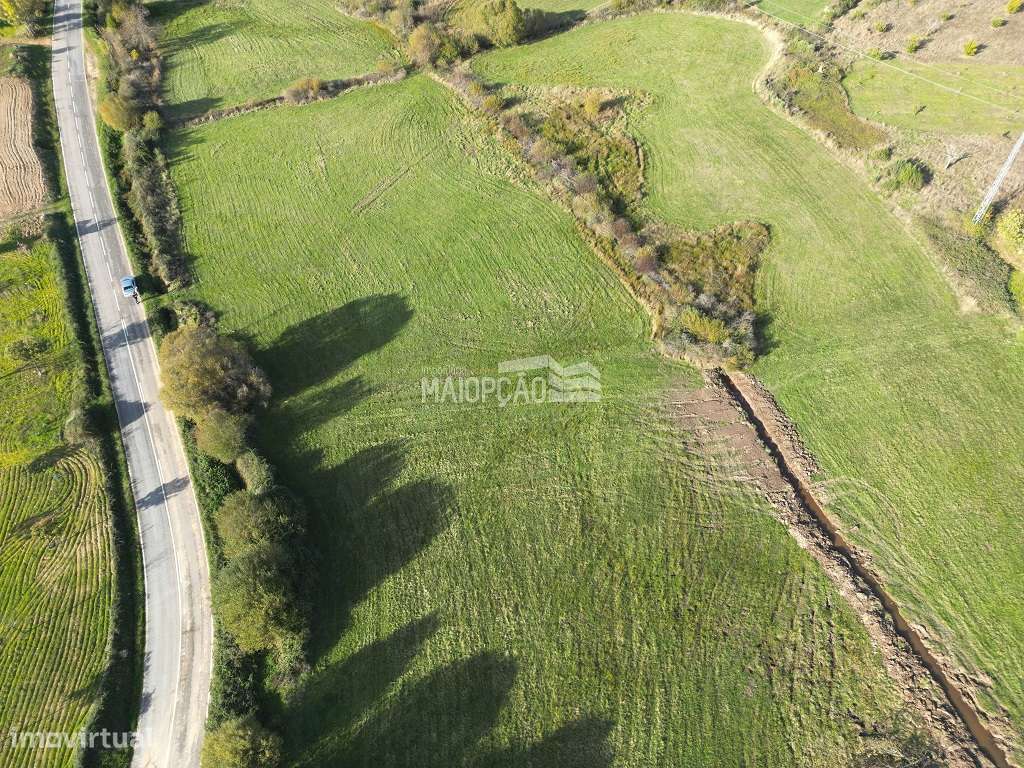 Terreno Agrícola 2hectares Bragança - Grande imagem: 4/5