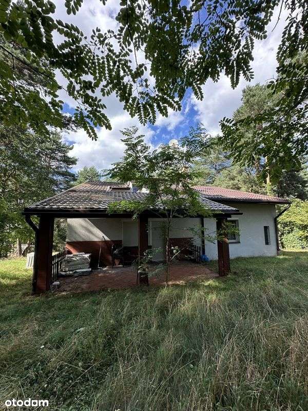 Dom w lesie nad jeziorem - Pełny obrazek: 4/19