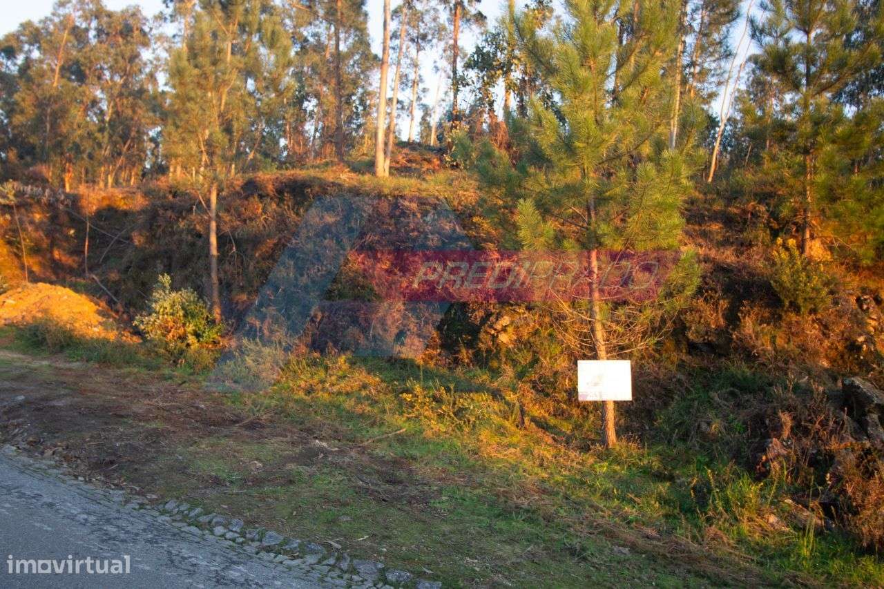 Excelente Terreno em Marrancos, Vila Verde! - Grande imagem: 2/4