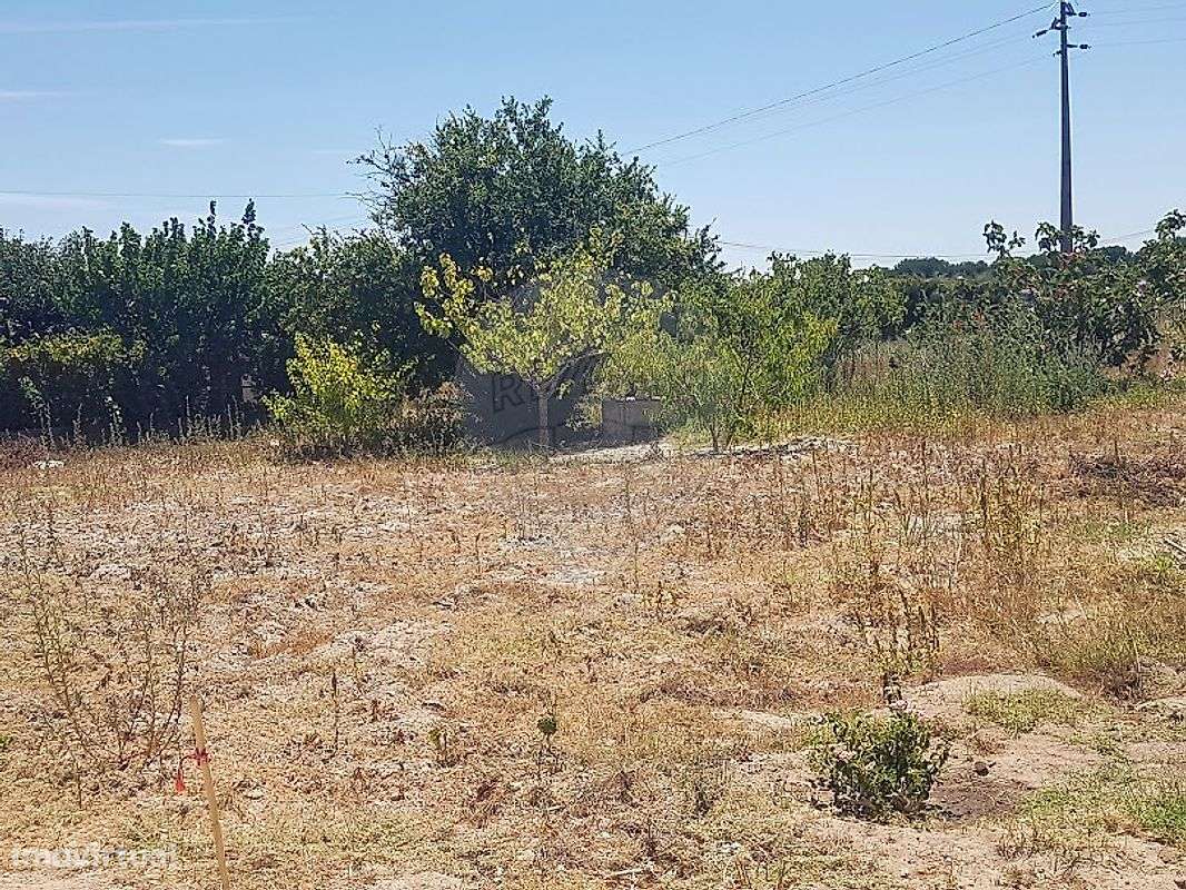 Quinta  para venda-6