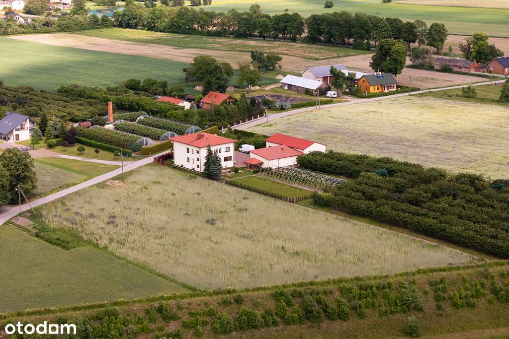 Działka na sprzedaż w Anielinie gm. Stryków 6370m2 - Pełny obrazek: 5/9