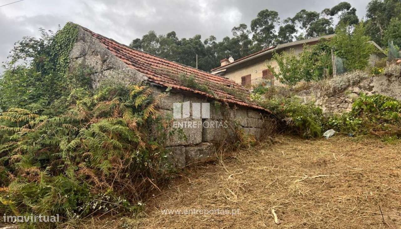Venda Moradia para Reconstruir, São Simão, Amarante - Grande imagem: 2/39