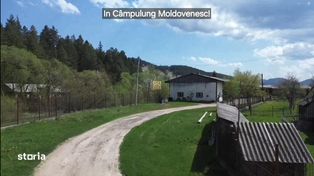 Teren 4238 mp cu 3 Hale de Depozitare si Birou! De Vanzare! - Imagine principală: 2/9