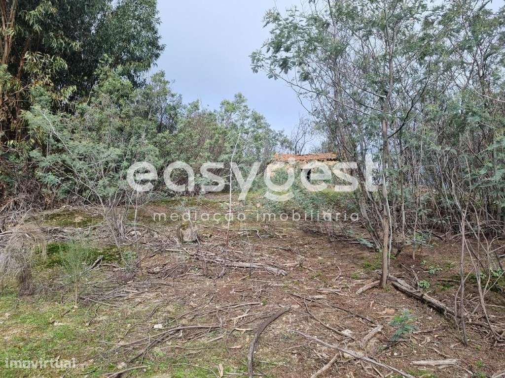 Terreno Rústico com dependência agrícola no Sidral/Covões - Grande imagem: 5/46