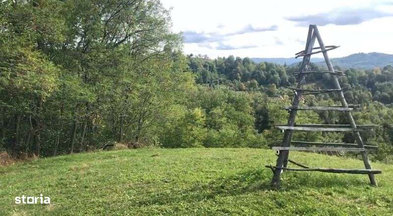 Teren de vanzare Comuna Cicanesti , Curtea de Arges - Imagine principală: 5/6