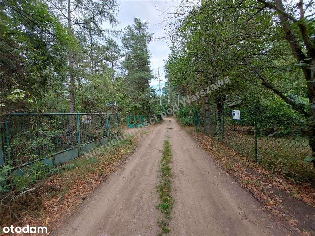 Cisza, Zieleń, Rzeka I Ona - Działka W Łosiu.-4