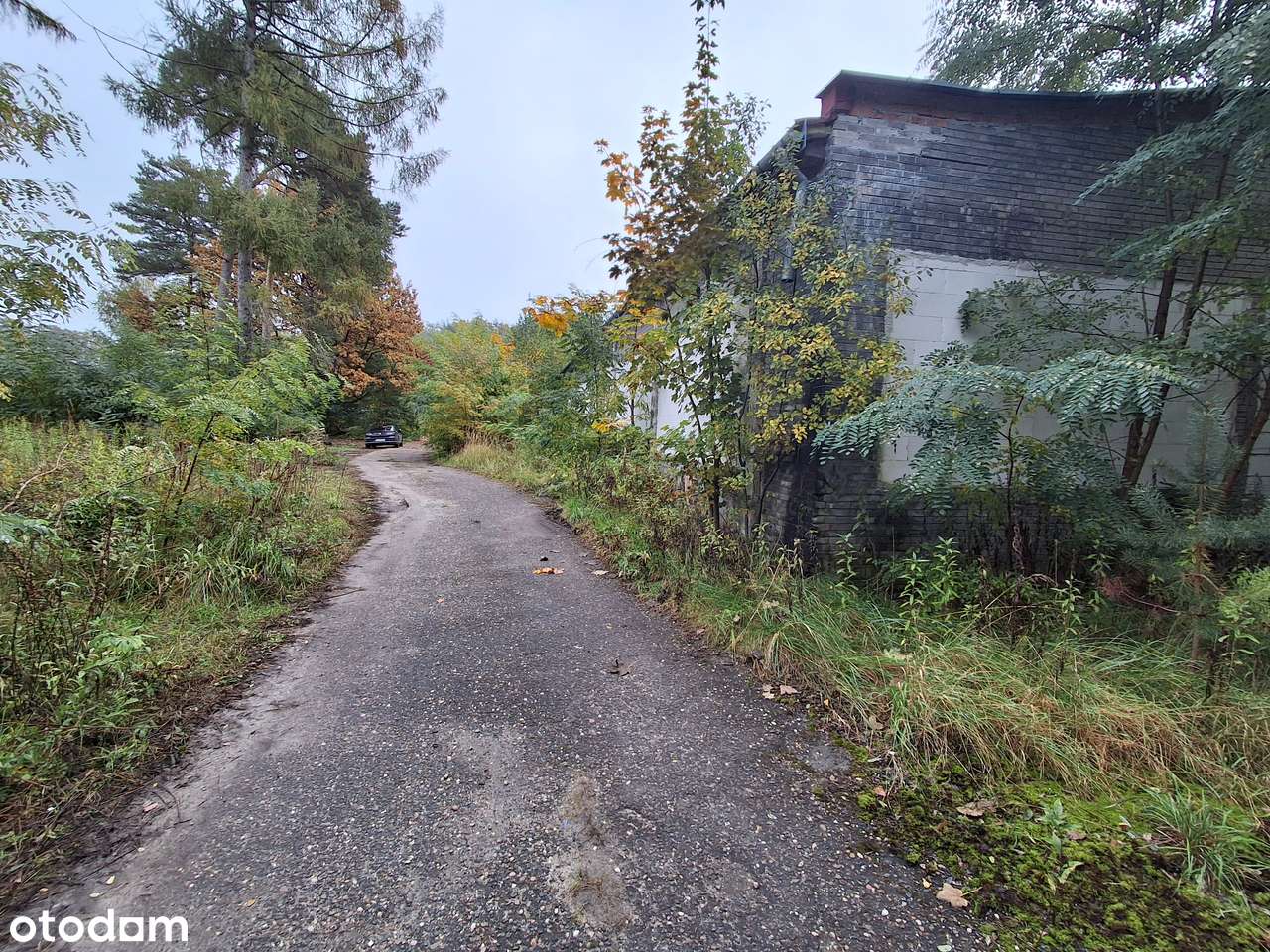 Nieruchomość przemysłowa | Nowa Dęba | 6 339 m² gruntu + 1 289 m² hali - Pełny obrazek: 5/8