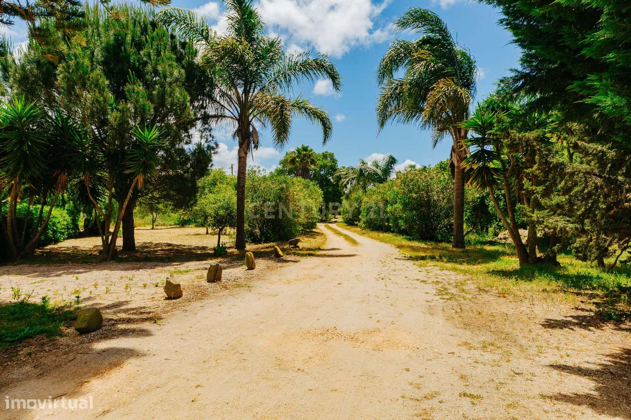 Monte Alentejano na Zambujeira do Mar - 82 ha - Grande imagem: 2/39