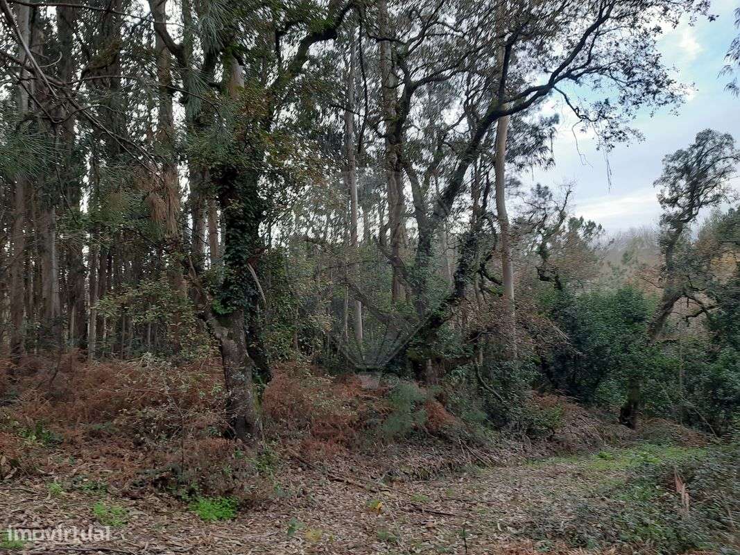 Terreno  para venda - Grande imagem: 2/4