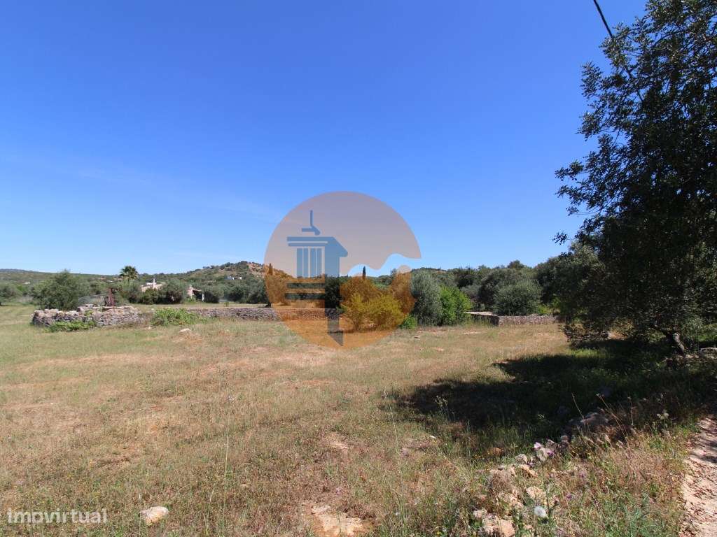 Terreno Rustico - Grande imagem: 4/17