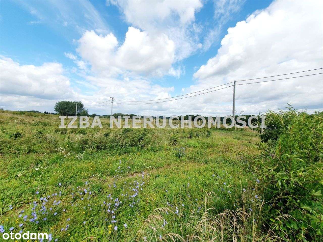 Działka, 3 150 m², Chruściele-7