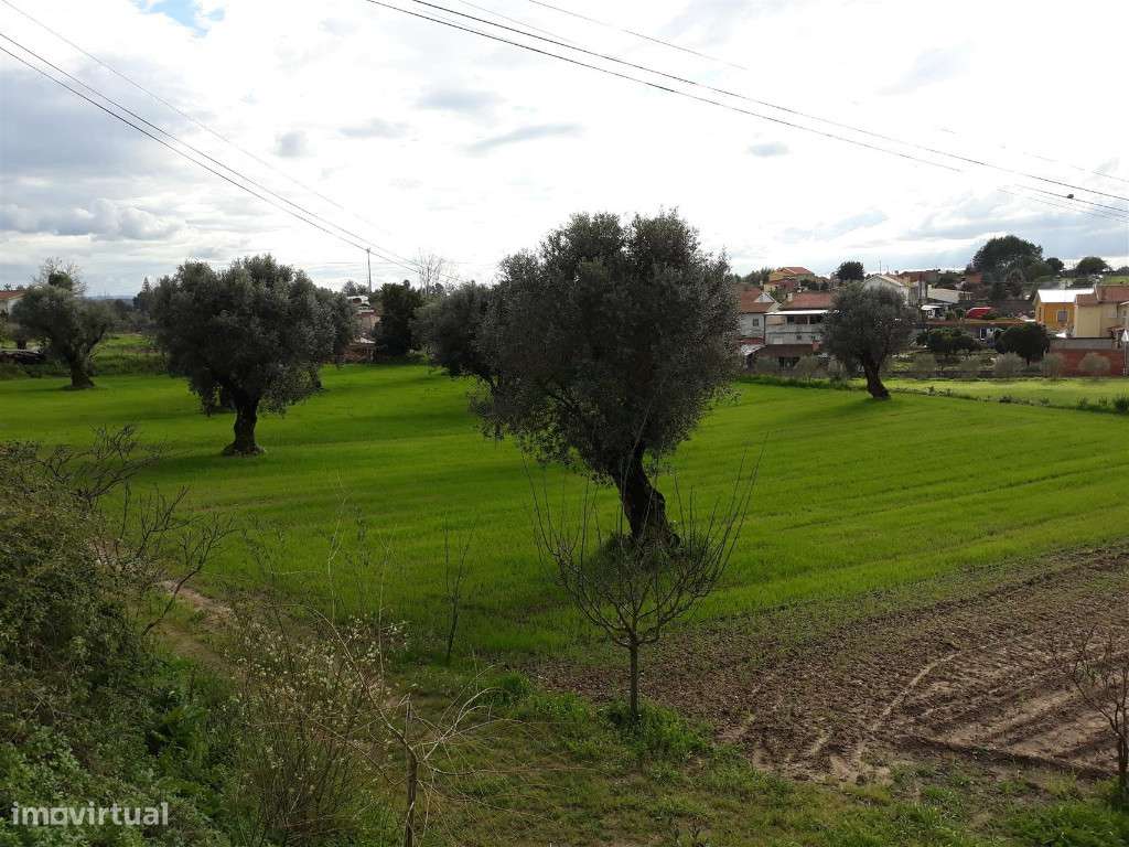 Azenha, Coimbra, São João do Campo - Grande imagem: 5/9