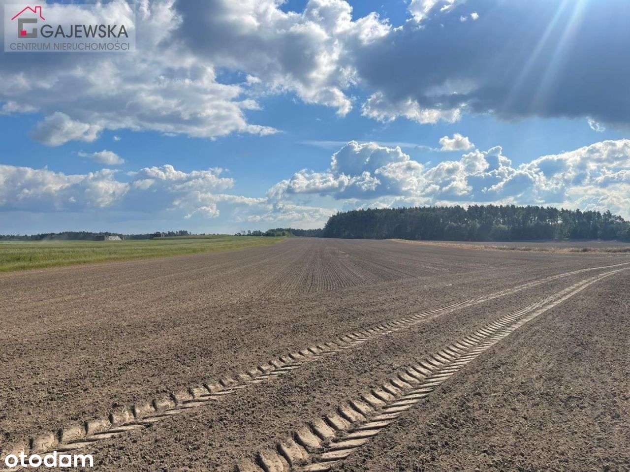 Działka budowlana przy lesie, Szydłowo ul.Ogrodowa-2