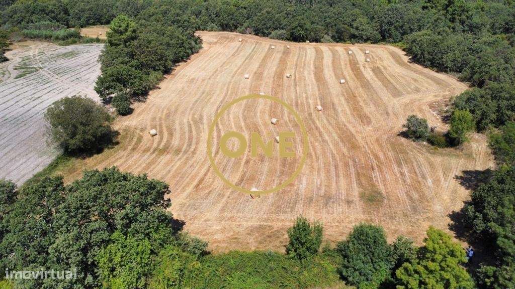 Terreno Rústico Oucidres - Chaves 14.920m2 - Grande imagem: 4/10
