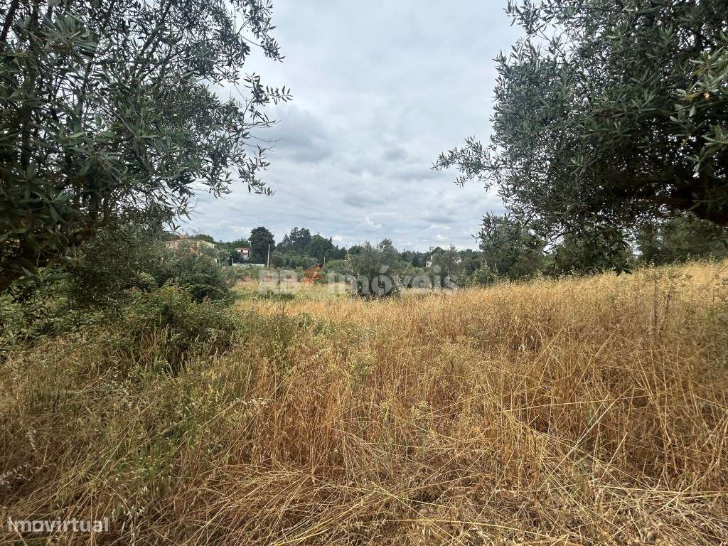 Terreno Agrícola em Chão das Maias - Tomar - Grande imagem: 5/16
