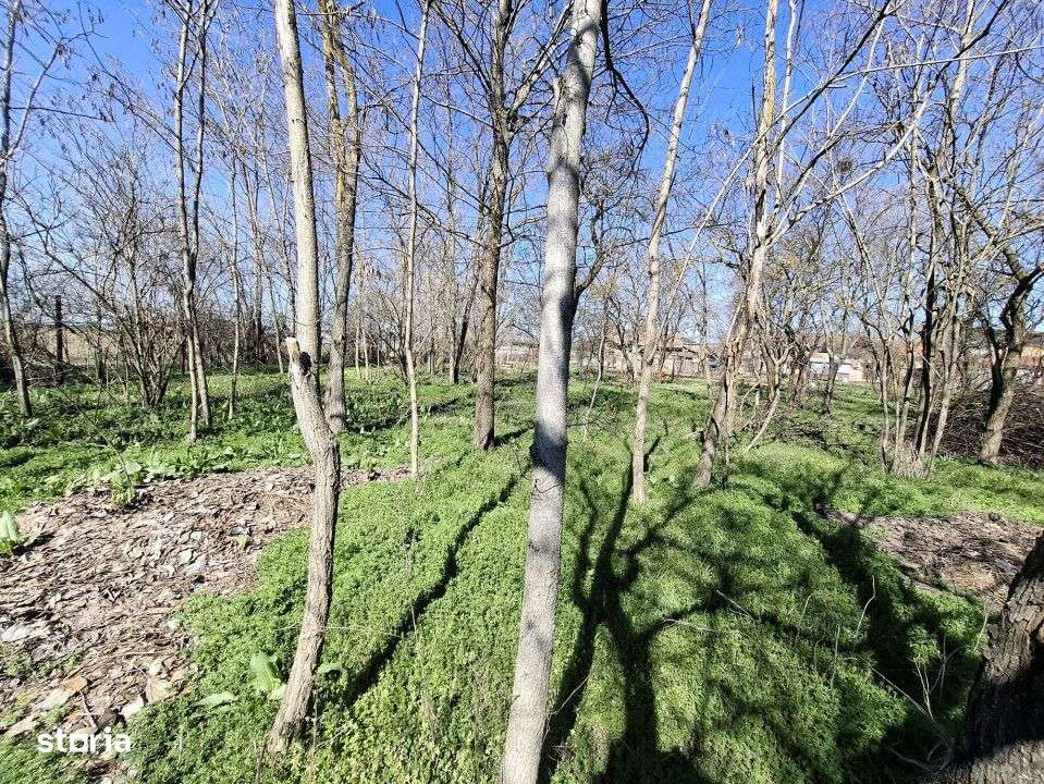 Vanzare teren + casa batraneasca in Racari, la DN71-11