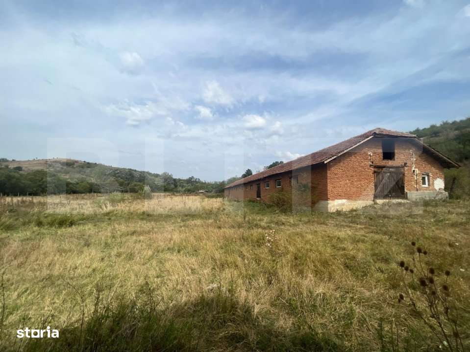 Ferma cu 3000 mp de teren si o constructie de 580 mp - Imagine principală: 3/4