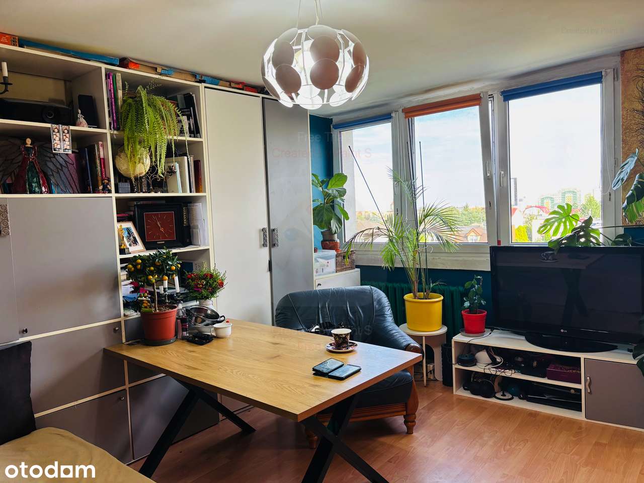 Nowa Cena ! Mieszkanie czteropokojowe w pięknej zielonej okolicy . - Pełny obrazek: 4/12