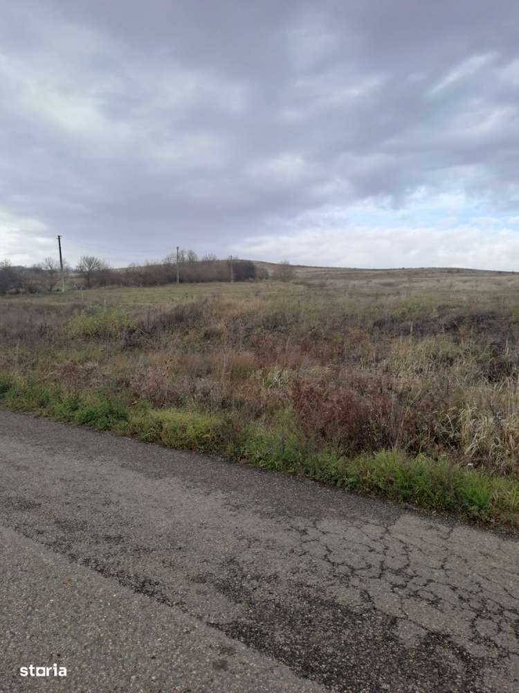 Teren extravilan la limita cu intravilanul 14 ha RECEA MICA-3