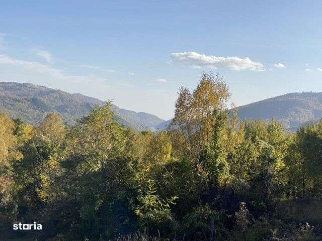 Teren retras panoramic Valea Doftanei 1350 mp panta lina, cu utilitati-6