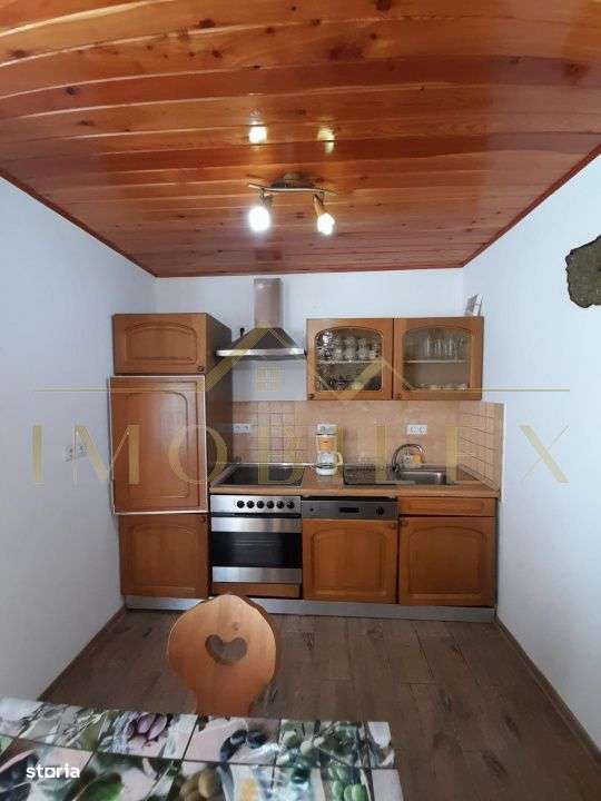 Pensiune cu 6 camere  in  Luncile Prigoanei, Șureanu , Judetul Alba-9