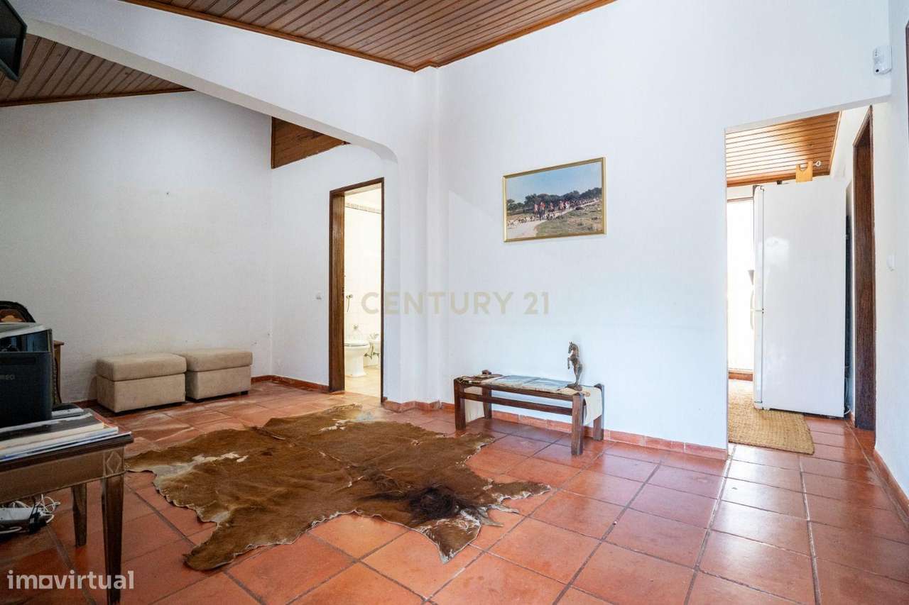Quinta Equestre a 45 minutos de Lisboa-24