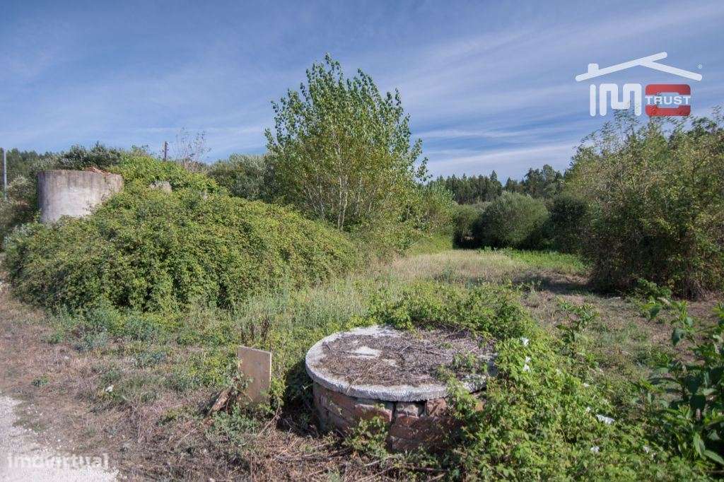 Terreno com 550 m2 Carvalhinho Albergaria dos Doze - Grande imagem: 5/6