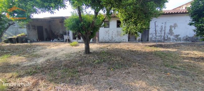 Moradia Térrea T3 de 4 Frentes em Silvalde com Terreno de 756 m²-20