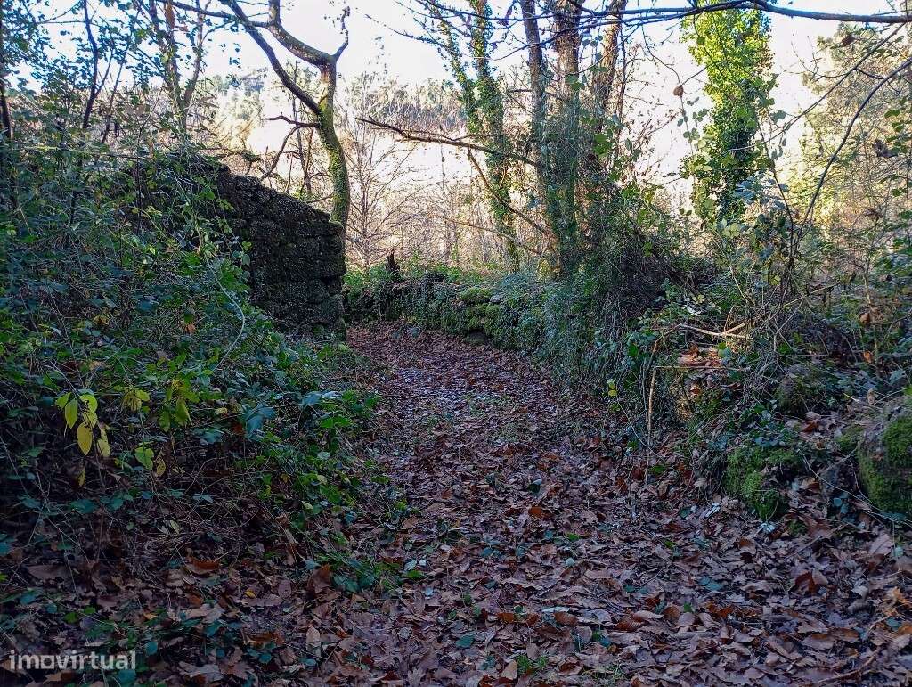 Quinta c/ Ruína - Mosteiro - Grande imagem: 5/23