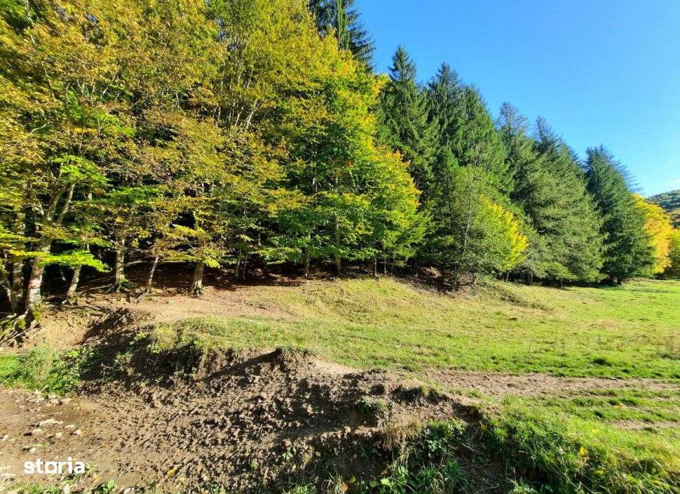 Teren extravilan , 7160 metri Cod:160785 - Imagine principală: 1/5