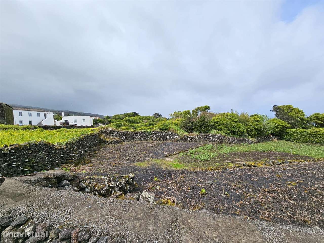 Terreno Rústico na Ilha do Pico - Lajes - Grande imagem: 2/5