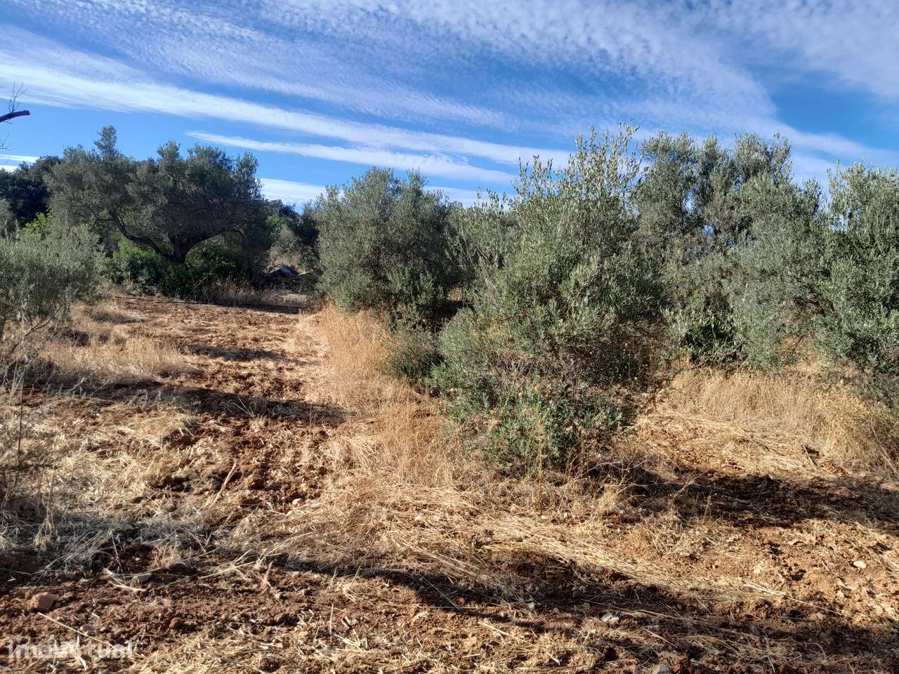 Moradia T3 C/ 10.000M2 Terreno C/ Furo-37