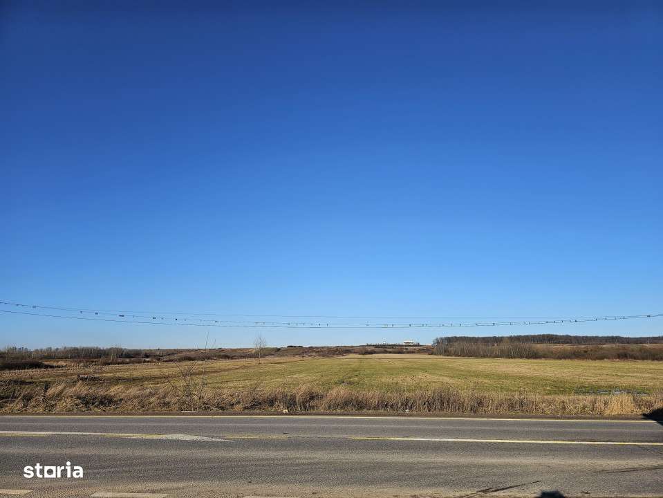 Teren extravilan - constructii, suprafata 49.933 mp, drumul E79, Beius - Imagine principală: 4/10