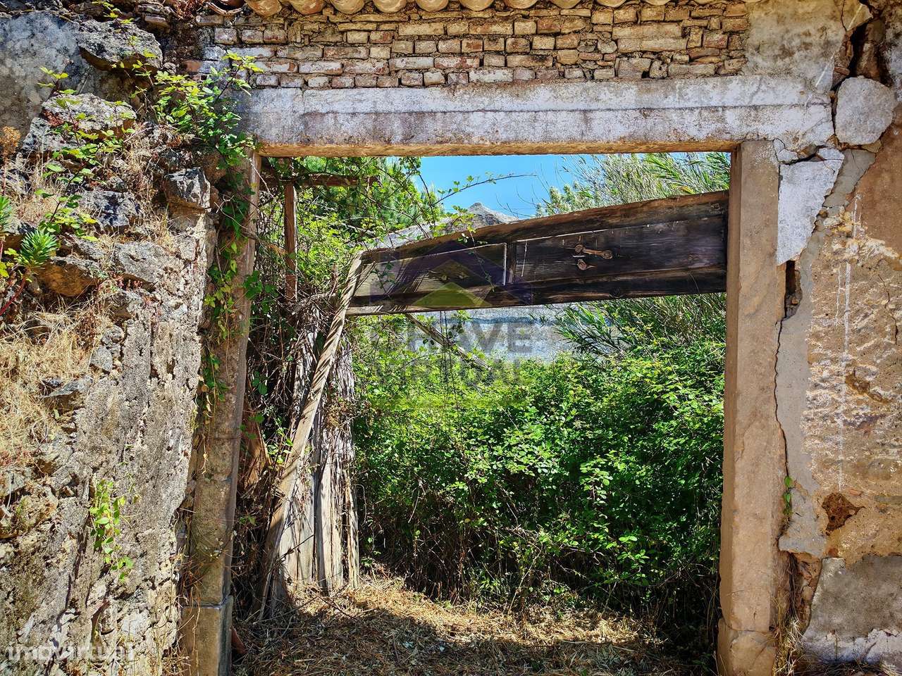 Terreno para Construção Delgada - Bombarral-9