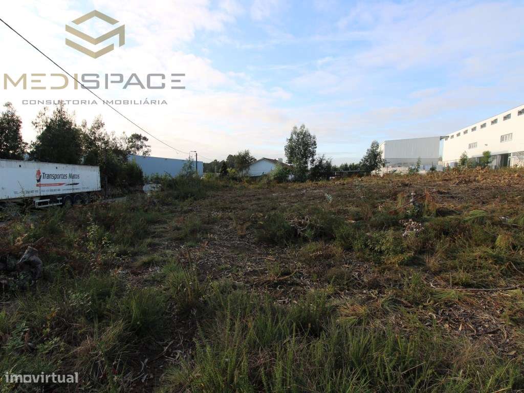 Terreno Industrial em Gaia , Avintes ( Fábrica Barbosa e Almeida)-5