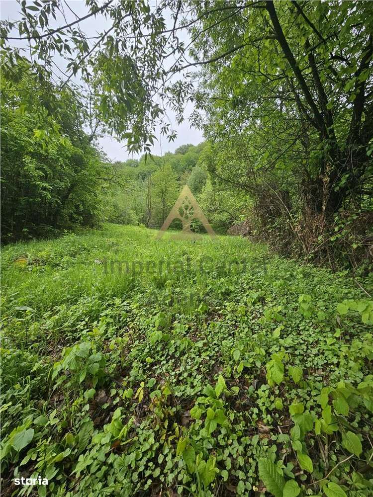 TEREN  PENTRU BUSSINESS 2842 MP DE VANZARE IN STATIUNEA  TARGU OCNA - Imagine principală: 3/10