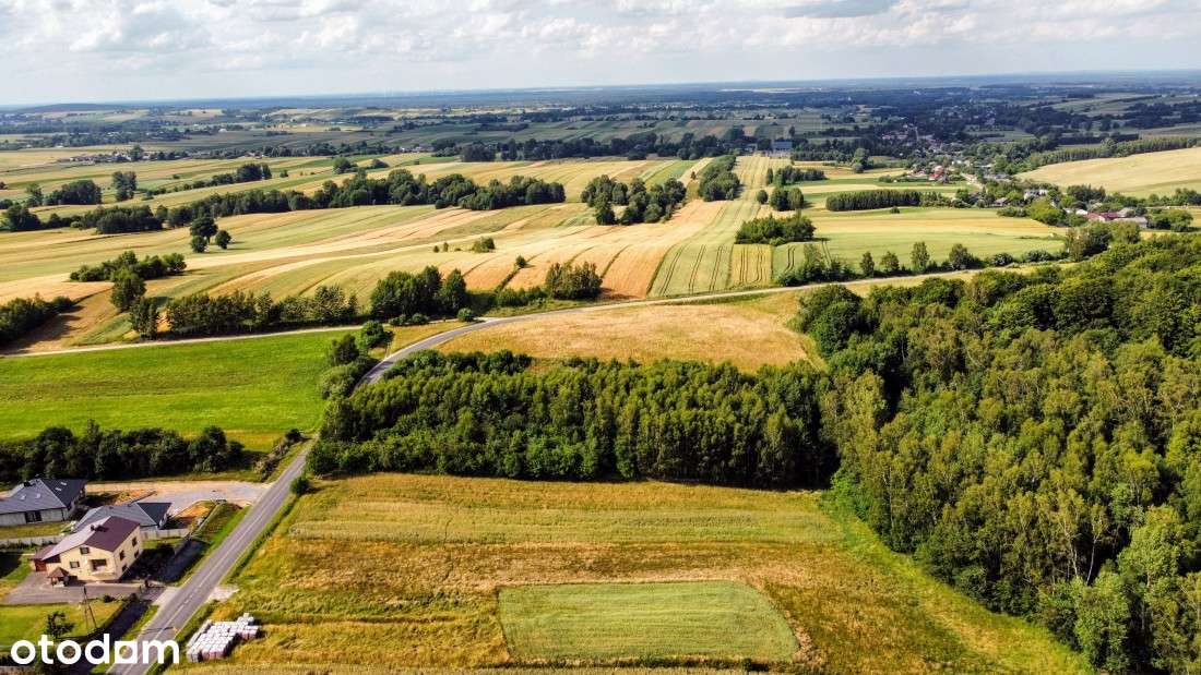 Jura tania działka 2717m2 przy asfalcie cena tylko 72.900 zł - Pełny obrazek: 4/17