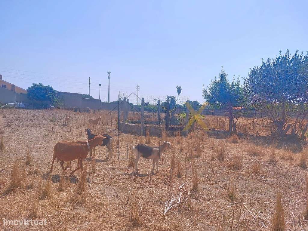 Terreno rústico com viabilidade para urbano em Cacia!!! - Grande imagem: 4/7