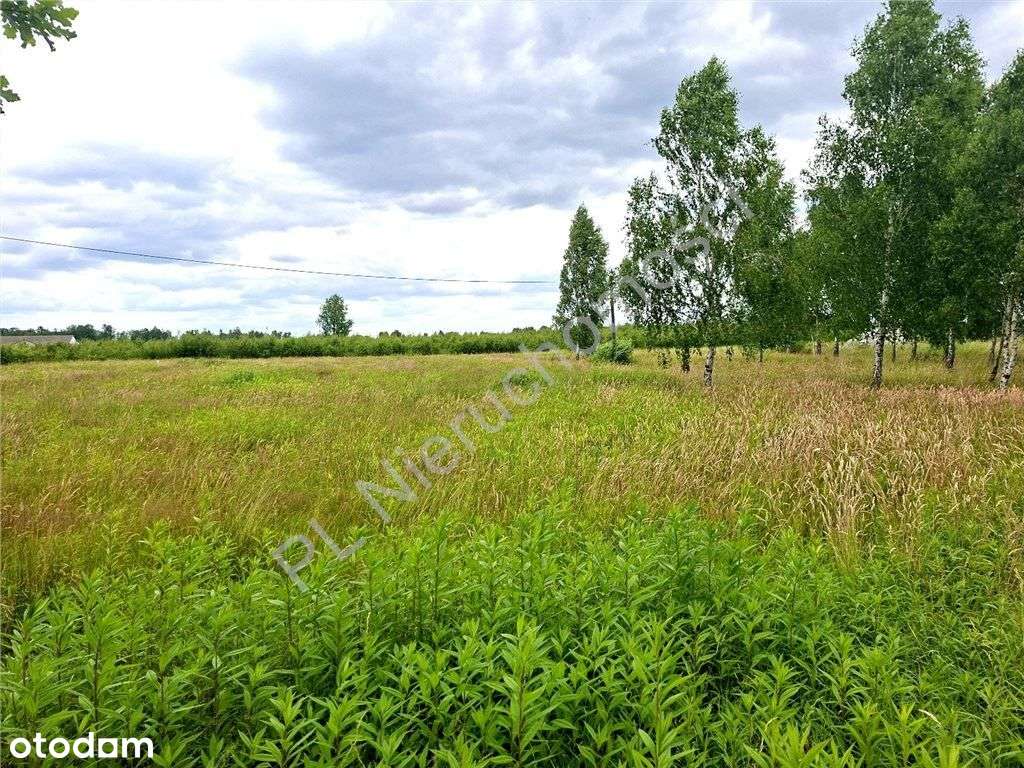 Duża działka w dobrej cenie !-4