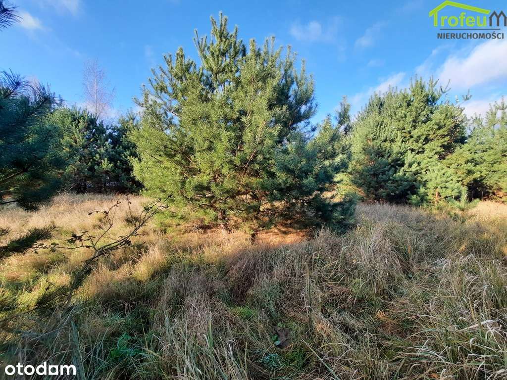 Działka o pow. 952m2, Parski-2