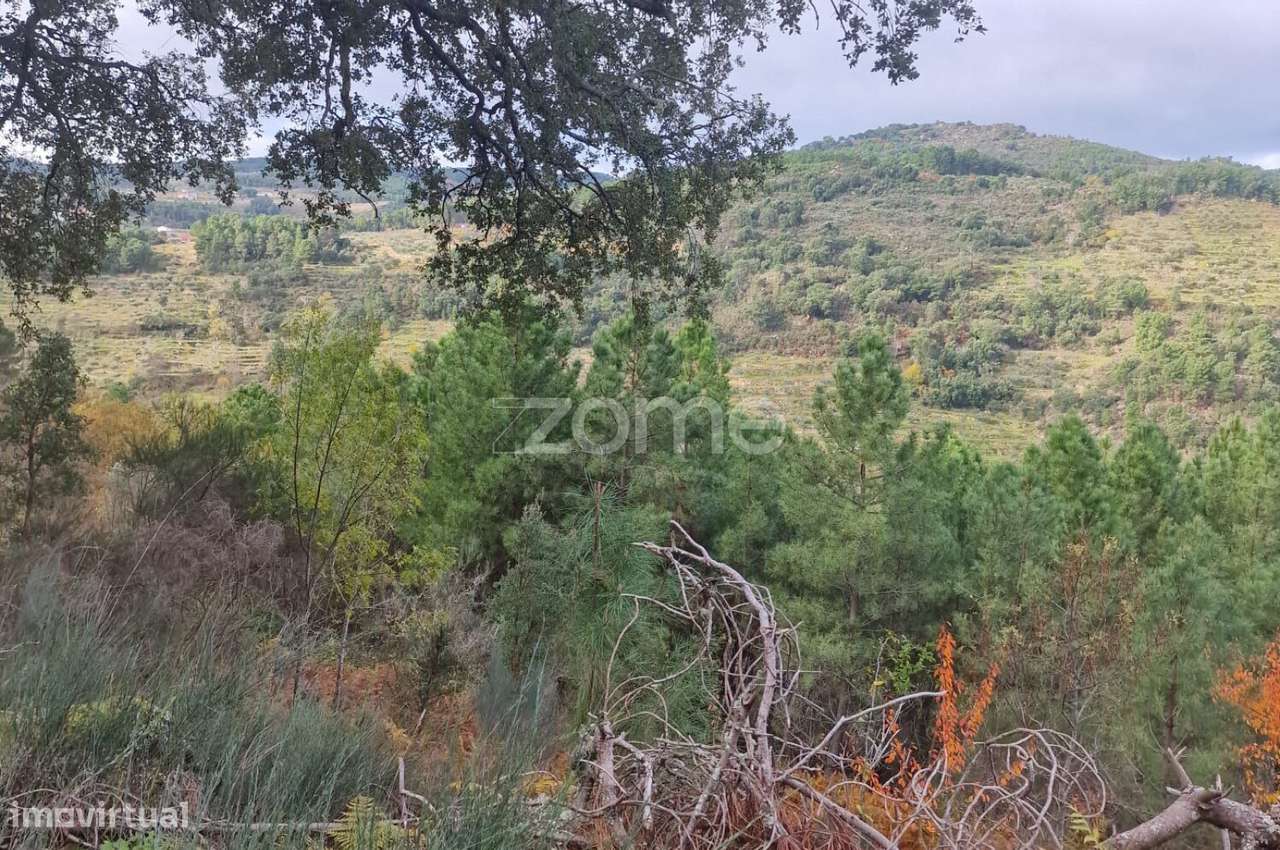 Prédio Rústico à Venda – com sobreiro e Ruina - Grande imagem: 5/15