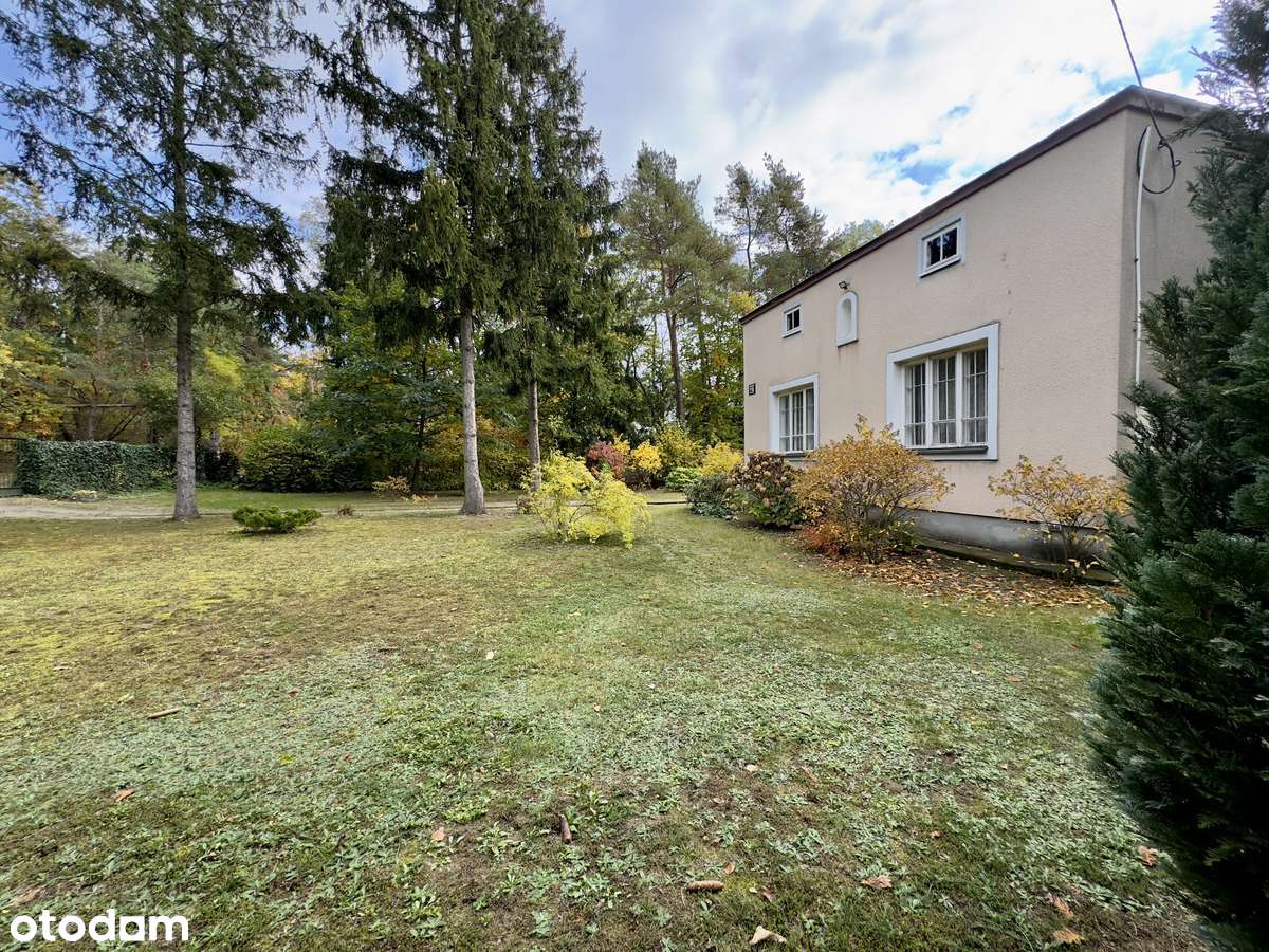 Działka w Magdalence / Łazach-spokojne miejsce z potencjałem - Pełny obrazek: 4/12