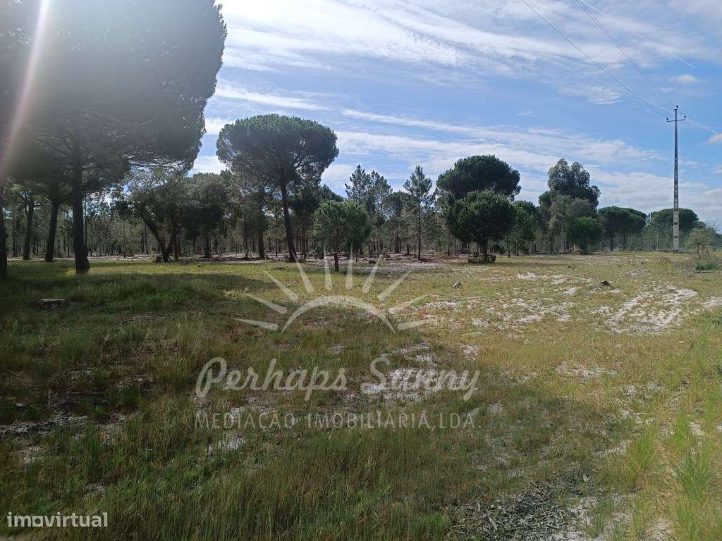 Herdade Bicas - Comporta-20