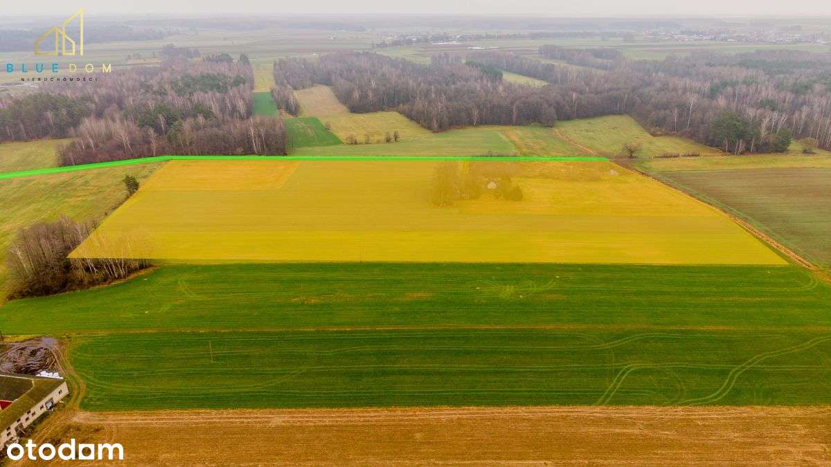 Działki z przeznaczeniem przemysłowym w planie - Pełny obrazek: 4/7