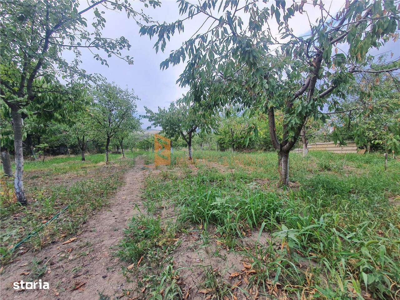 Casa si livada zona Pietroasele - Imagine principală: 4/4