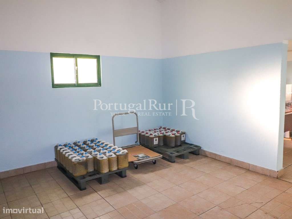Unidade Industrial de Produção de Azeite & Elevado Potencial Produtivo-18